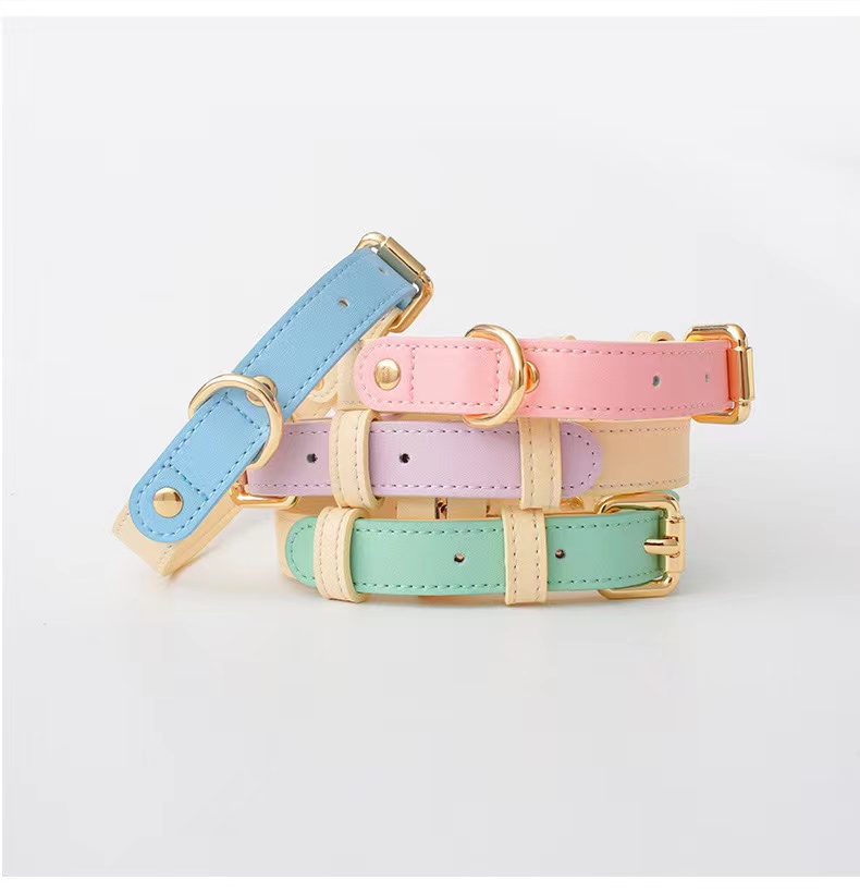 Top 10 Anti-pull Pet Belt Leash Manufacturers